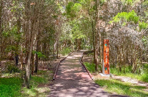 Tom's Walk in Nielsen Park, Torquay